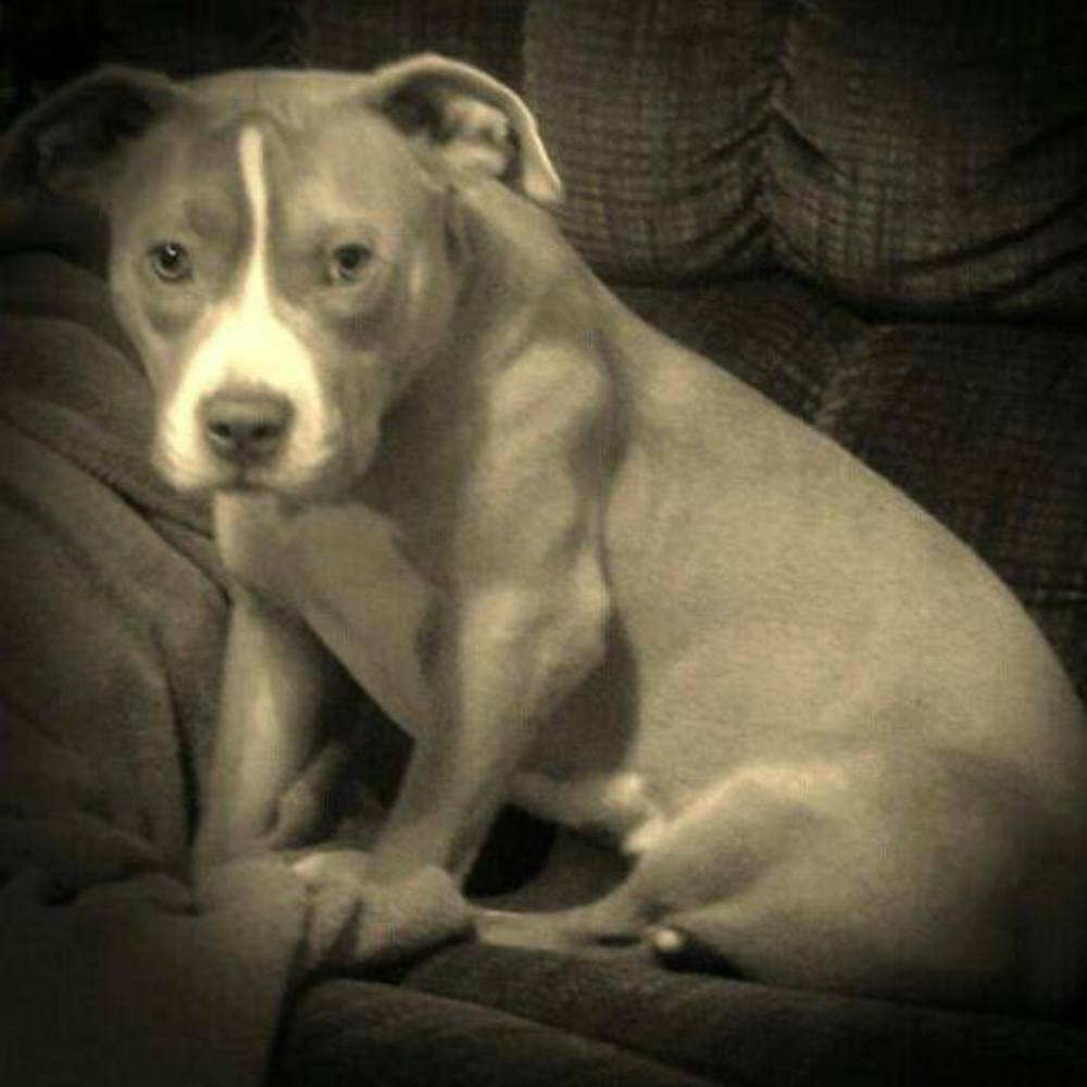 Meet your Posher, Meg